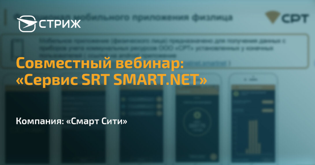 Сервис SRT SMART.NET СТРИЖ СРТ